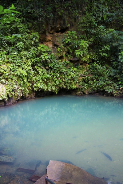 Belize-Swimming-Hole-Vertical